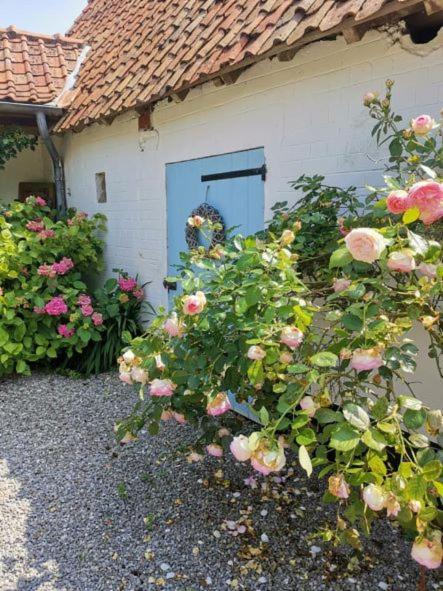 Le Clos De La Rose Gite Bien Etre Wirwignes Exterior photo